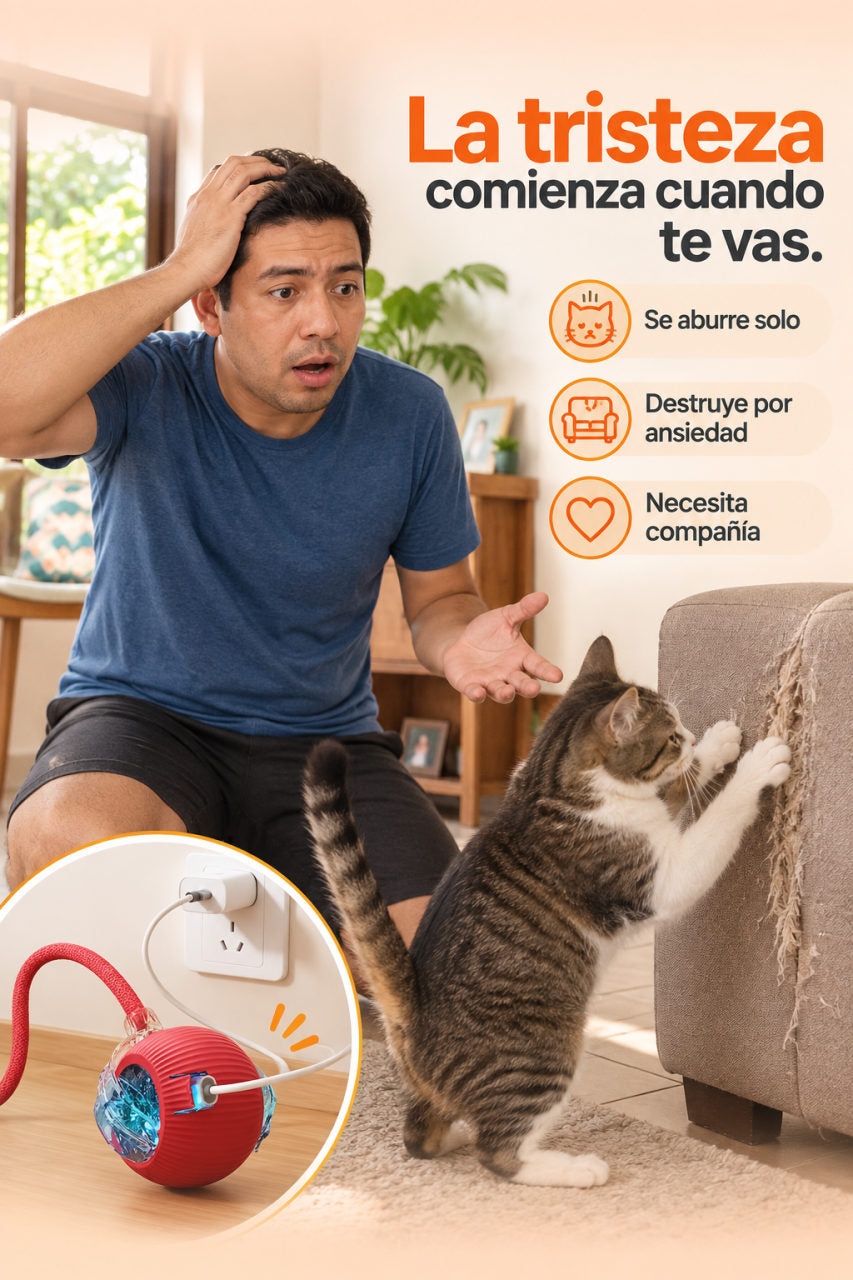 Pelota  interactiva para mascotas — LA SEÑAL